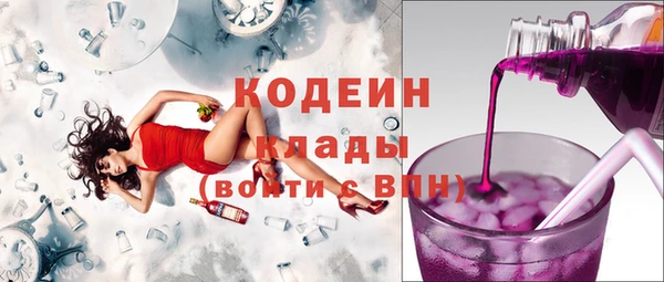 стаф Каменск-Шахтинский