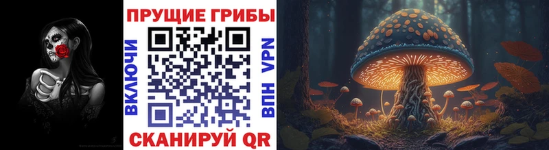 Псилоцибиновые грибы мицелий Боготол