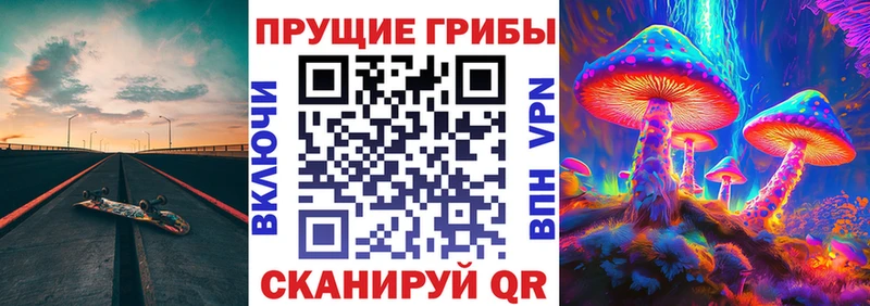 Псилоцибиновые грибы прущие грибы  KRAKEN зеркало  сайты даркнета как зайти  Боготол 